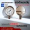 Safegauge Pressure Gauge 0-7 KG/CM2 & 0-0.7 MPA Body : sus304 Dia.4" Conn.SUS316 1/2"npt Bottom Type